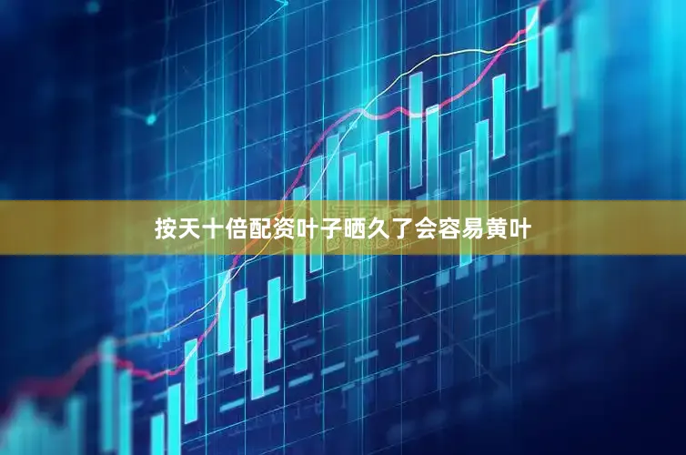 按天十倍配资叶子晒久了会容易黄叶