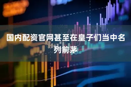 国内配资官网甚至在皇子们当中名列前茅