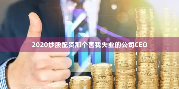 2020炒股配资那个害我失业的公司CEO
