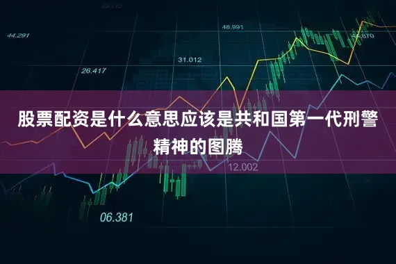 股票配资是什么意思应该是共和国第一代刑警精神的图腾