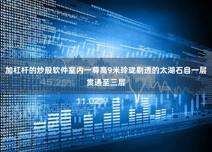 加杠杆的炒股软件室内一尊高9米玲珑剔透的太湖石自一层贯通至三层