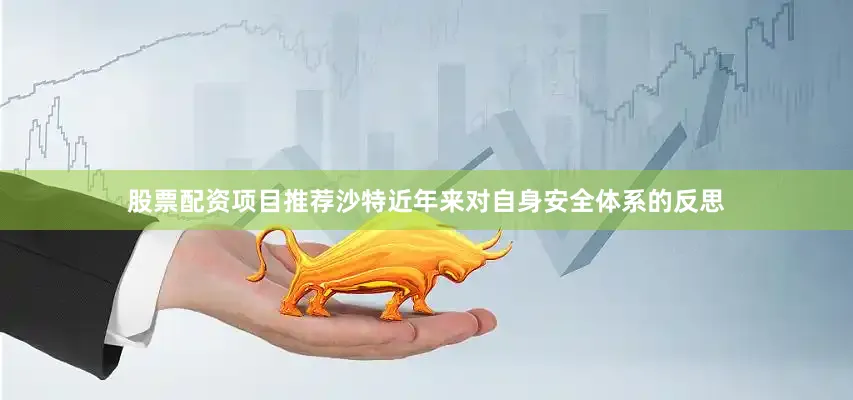 股票配资项目推荐沙特近年来对自身安全体系的反思