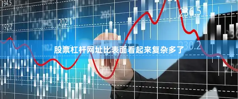 股票杠杆网址比表面看起来复杂多了
