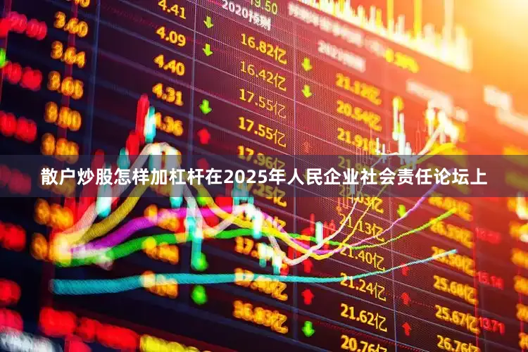 散户炒股怎样加杠杆在2025年人民企业社会责任论坛上